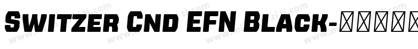 Switzer Cnd EFN Black字体转换